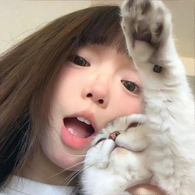小猪进城